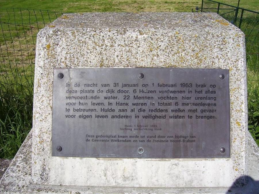 Buitendijk — Hank