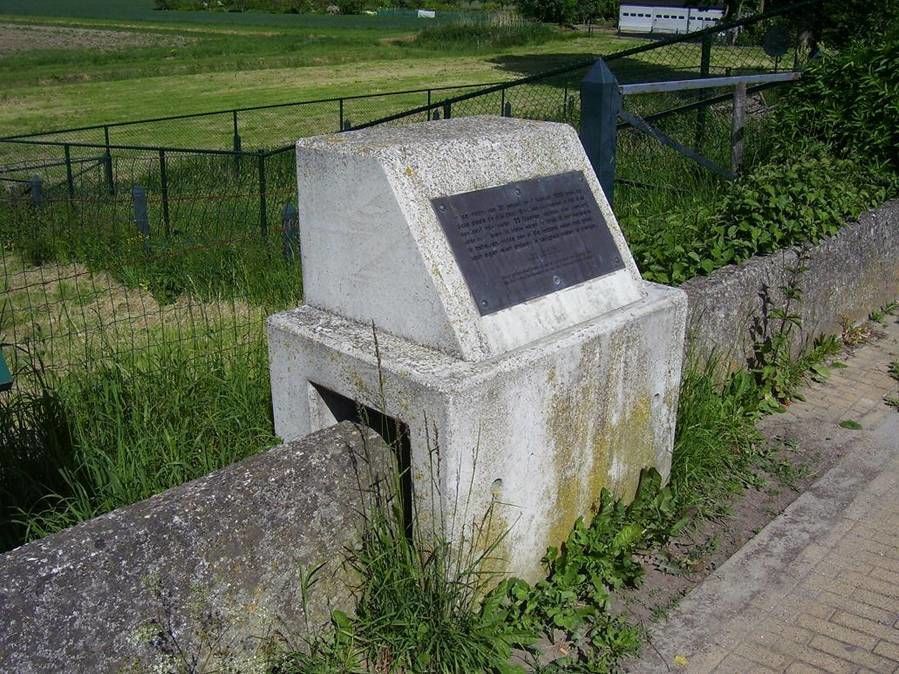 Buitendijk — Hank