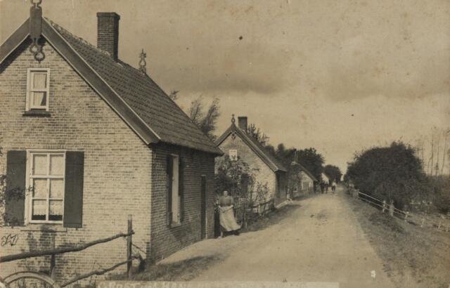 Buitendijk — Hank