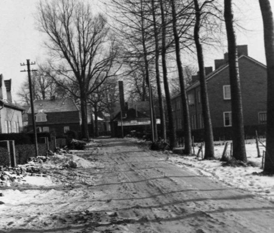 Parkstraat — Liempde