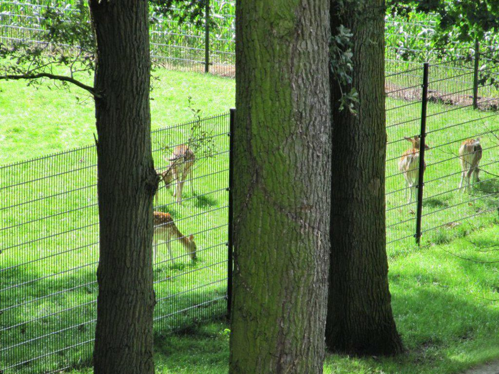 Castellanie — Loon op Zand