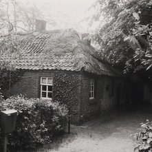 Vogelstraat — Odiliapeel