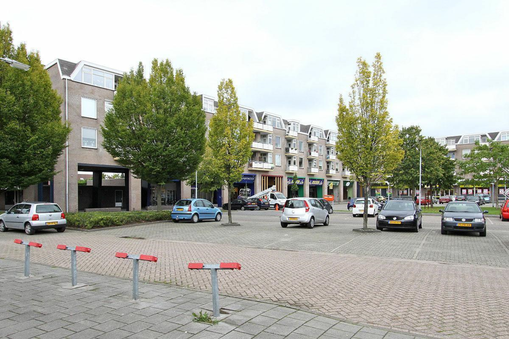 Kervel — Oisterwijk