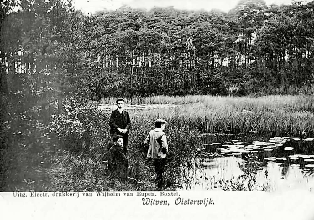 Witven — Oisterwijk
