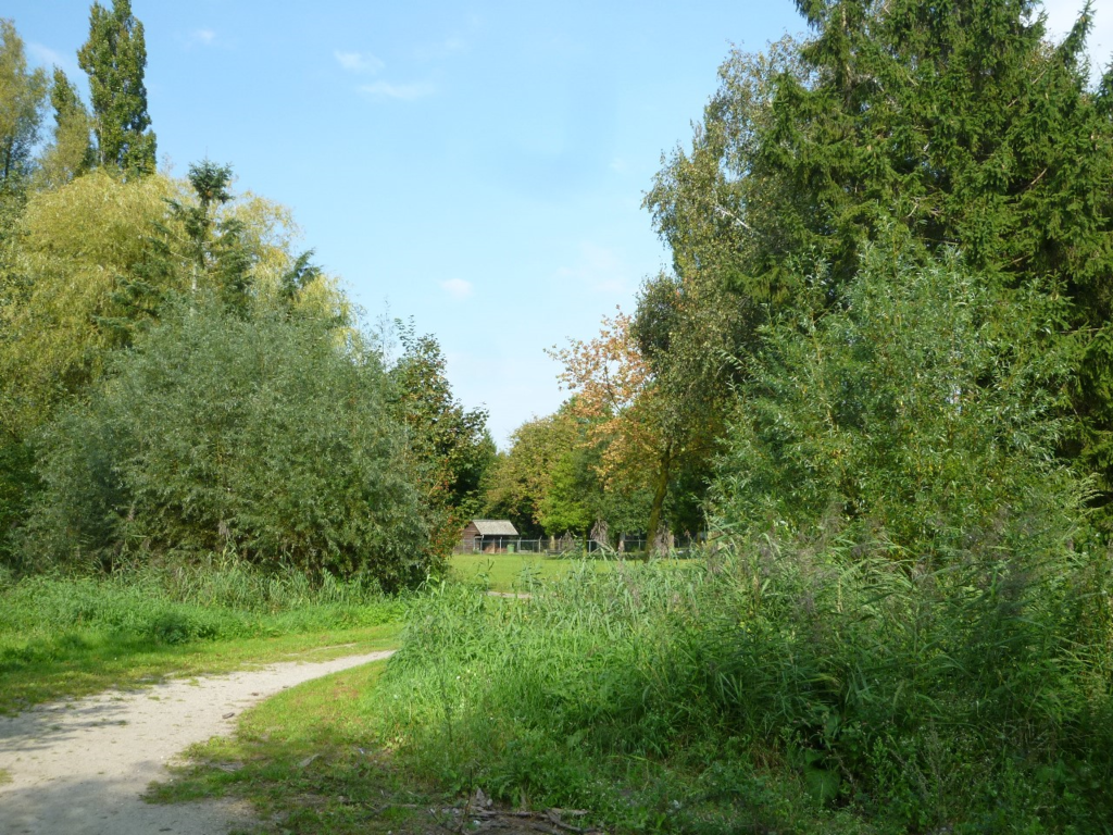 Baselaarshoef — Schijndel