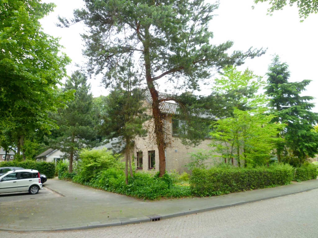 de Cock van Neerijnenstraat — Schijndel
