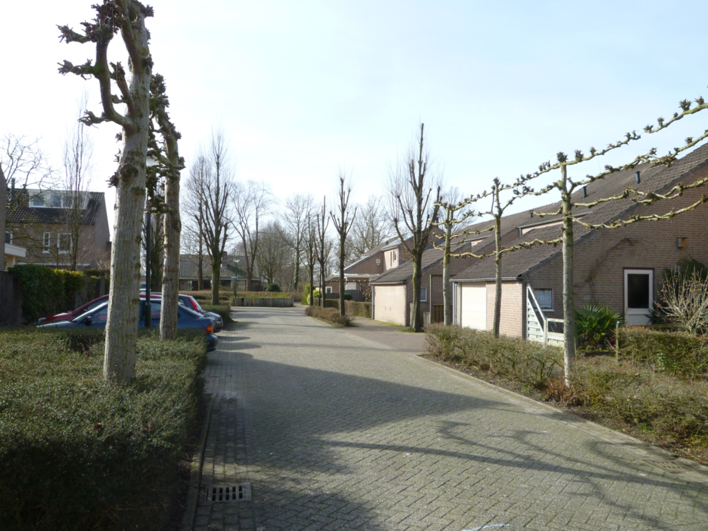 Burgemeester Janssensstraat — Schijndel