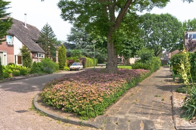 Lijsterbeshof — Sleeuwijk