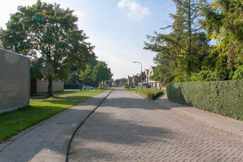 Kastanjelaan — Sleeuwijk