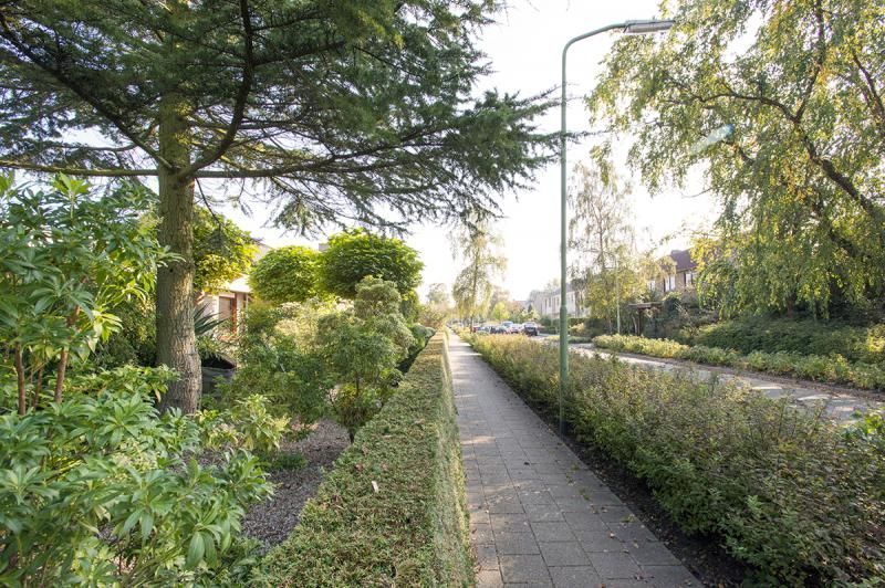Esdoornlaan — Sleeuwijk