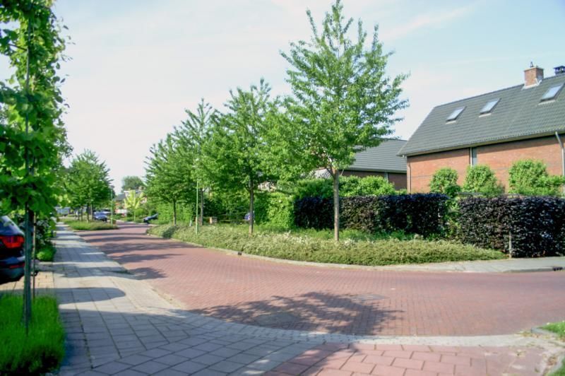 Buitenlust — Sleeuwijk