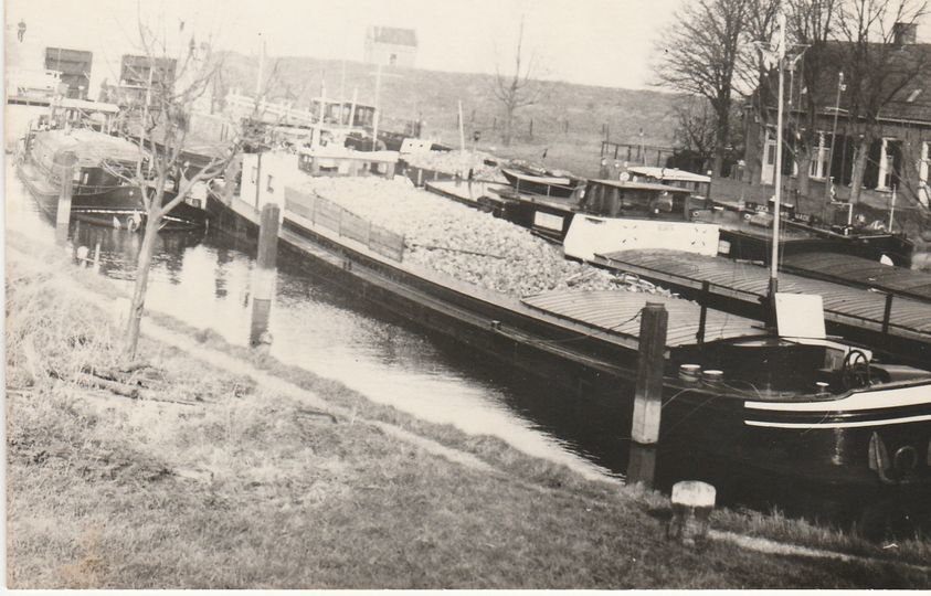 Haven — Steenbergen