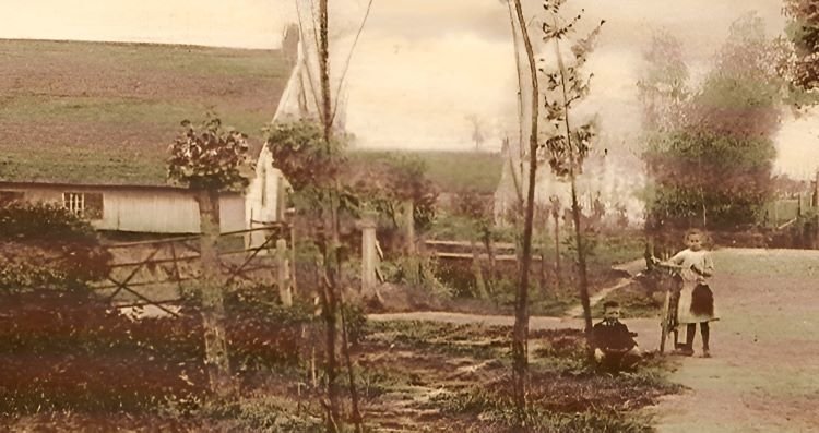 Laurentiusdijk — Steenbergen