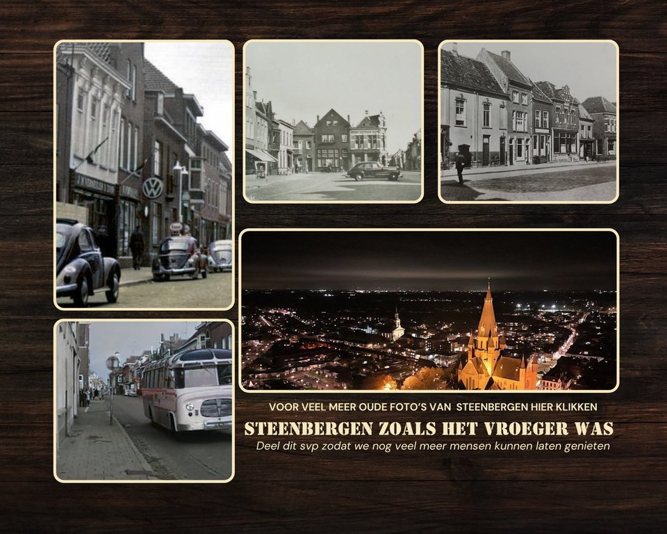 Overzicht — Steenbergen