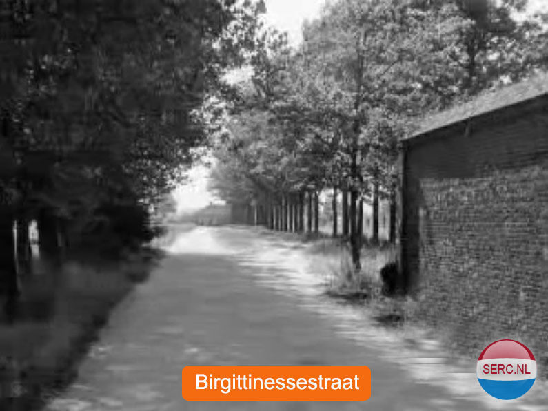 Birgittinessestraat — Uden