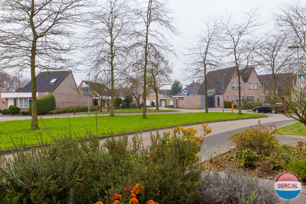 Torenvalk — Veldhoven