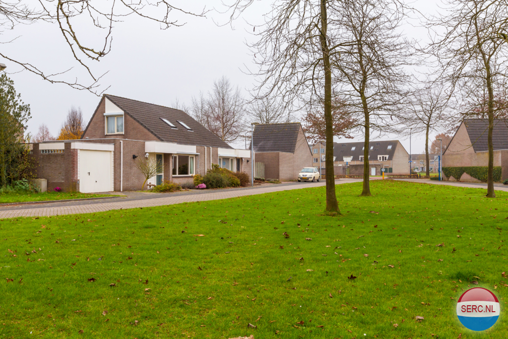 Torenvalk — Veldhoven