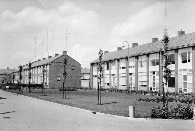 Irenelaan — Vlijmen-Vliedberg