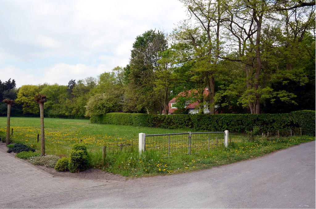 Wildpad — Vught