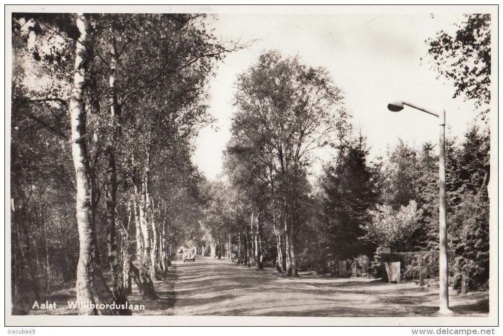 Willibrorduslaan — Waalre