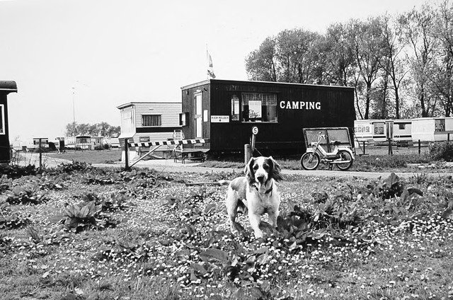 Buiten de Waterpoort — Woudrichem