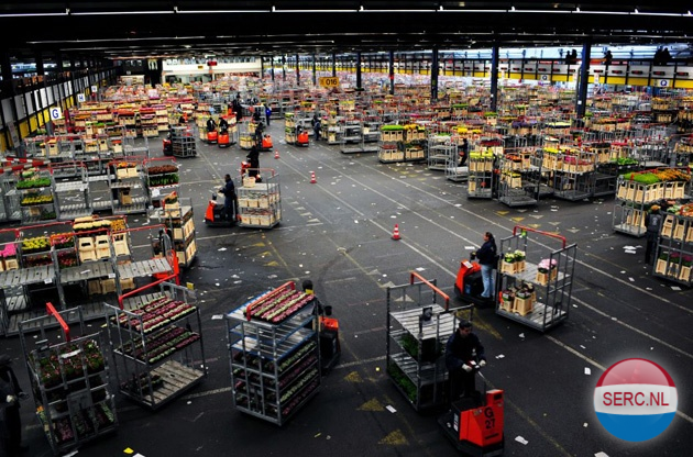 Bloemenveiling — Aalsmeer