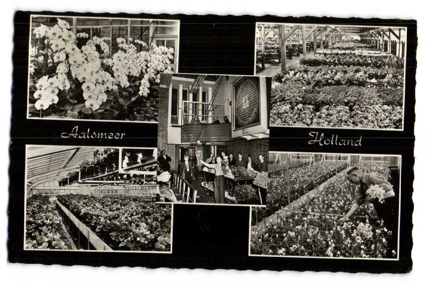 Ansichtkaarten — Aalsmeer