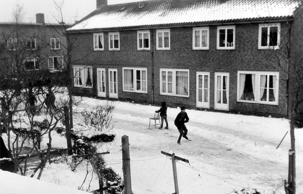 Anjerlaan — Aalsmeer