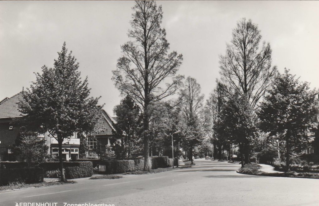 Zonnebloemlaan — Aerdenhout