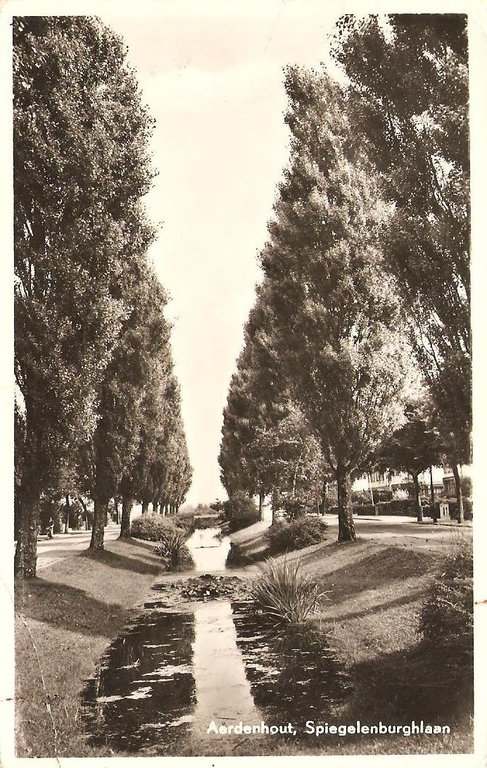 Spiegelenburghlaan — Aerdenhout