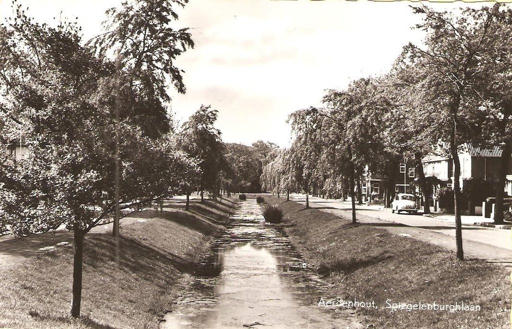 Spiegelenburghlaan — Aerdenhout