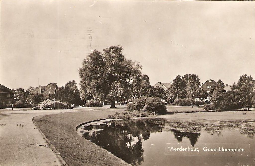 Goudsbloemplein — Aerdenhout