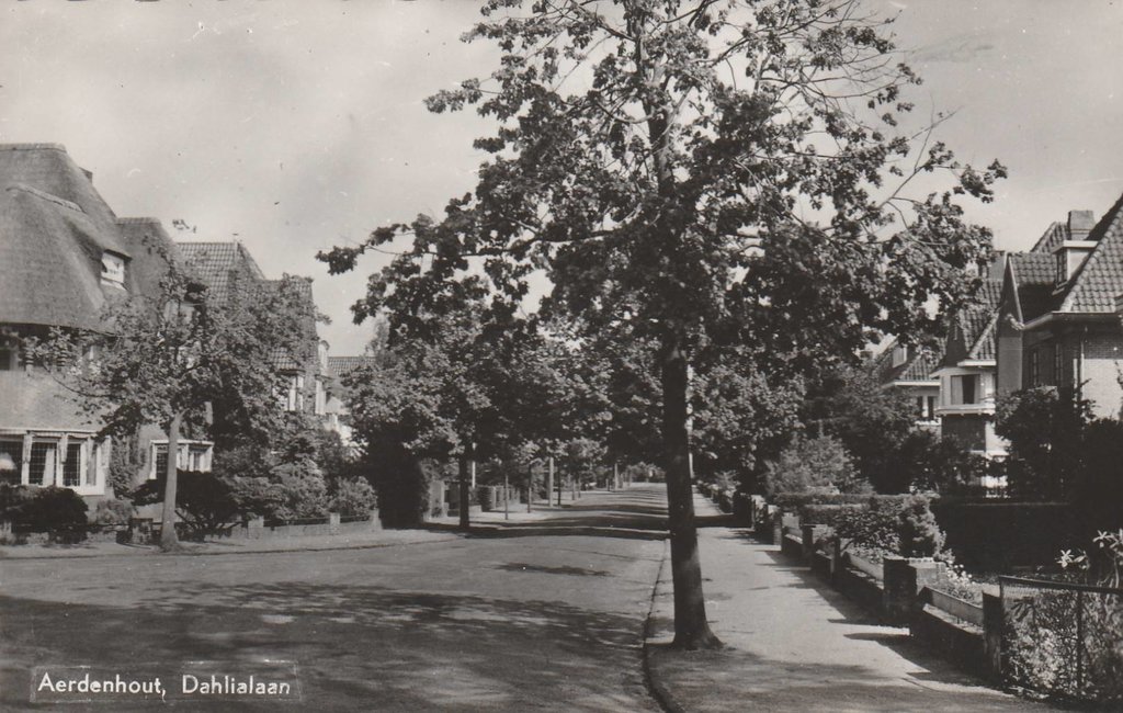 Dahlialaan — Aerdenhout