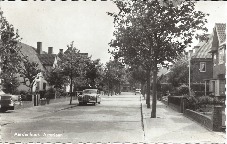 Asterlaan — Aerdenhout