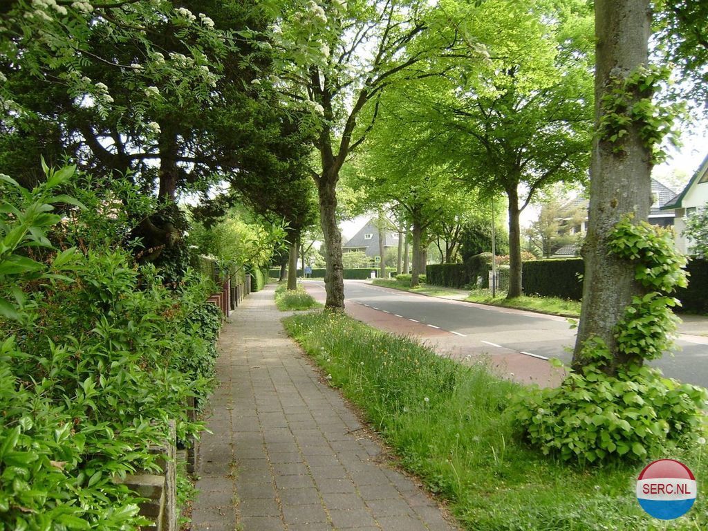 Zonnebloemlaan — Aerdenhout