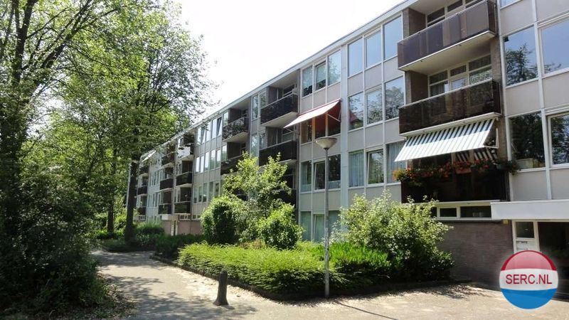 Aert de Gelderlaan — Alkmaar