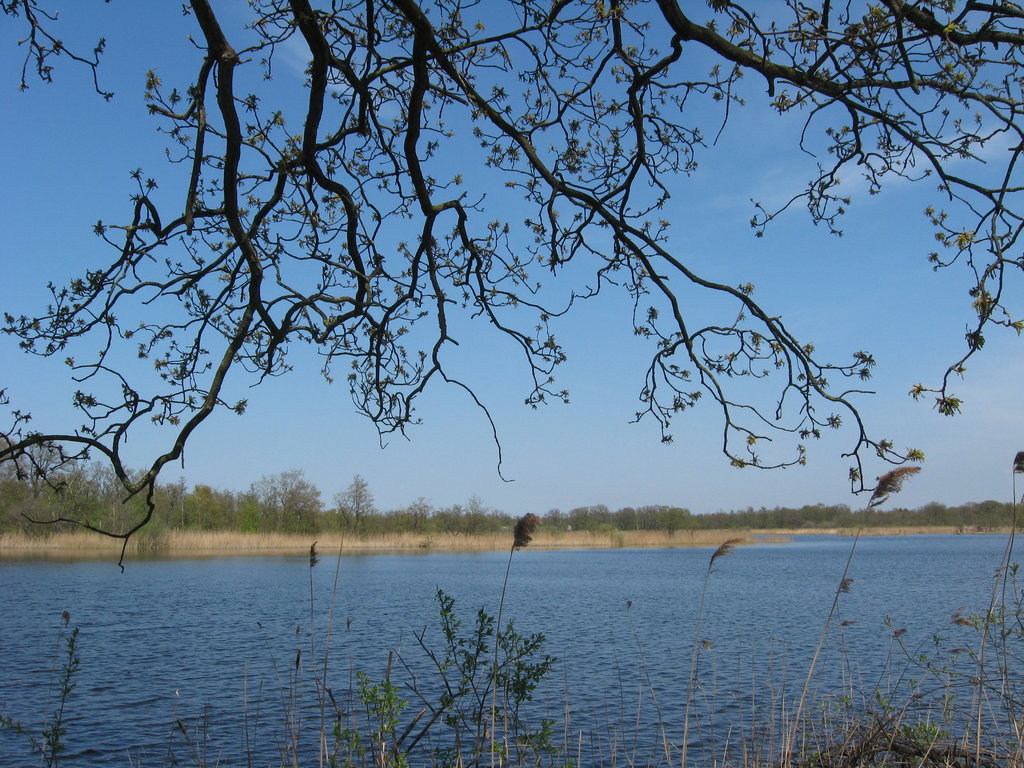 Ankeveense pad — Ankeveen