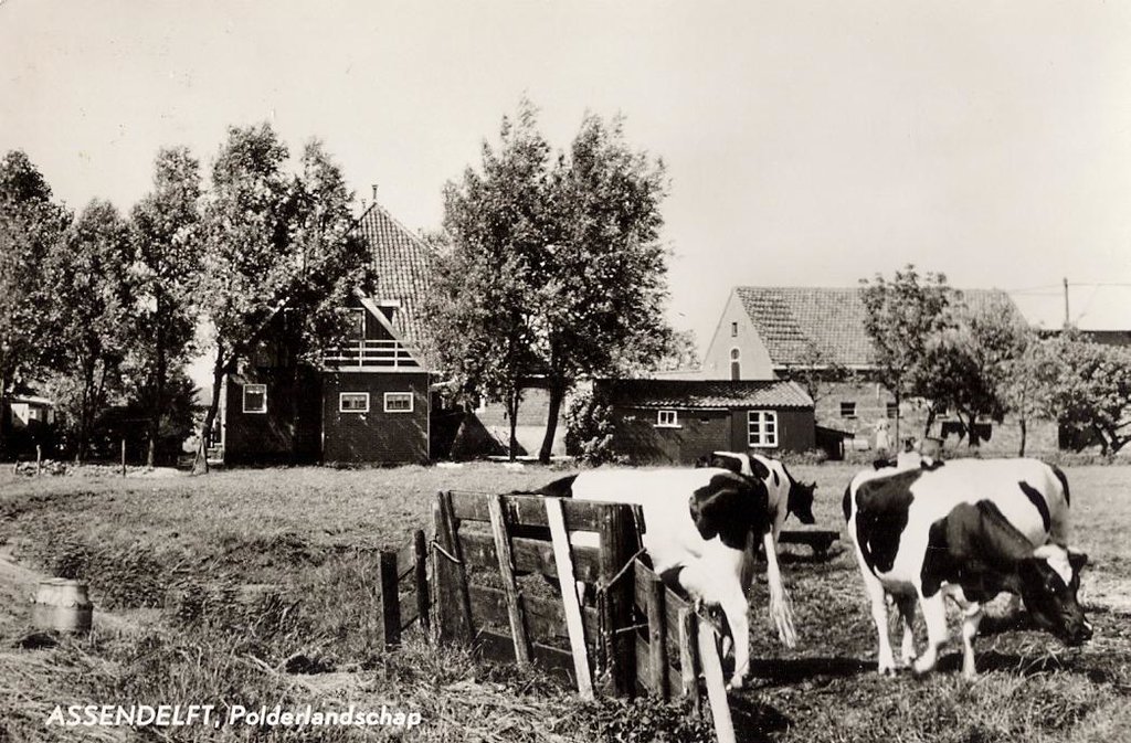 Panorama — Assendelft