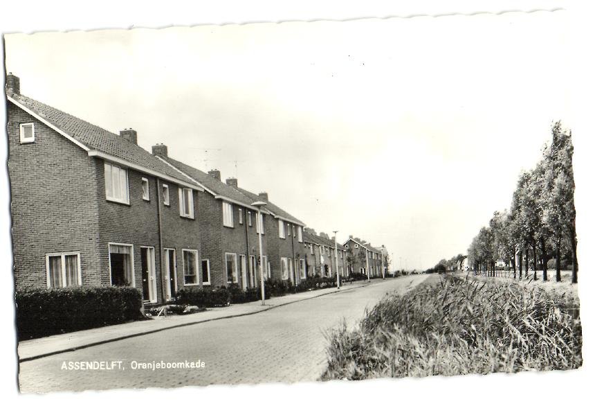 Oranjeboomkade — Assendelft
