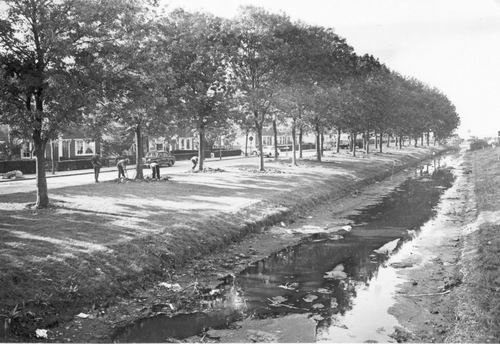 Adelaarstraat — Badhoevedorp
