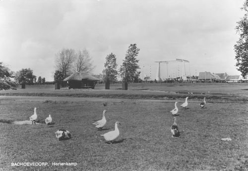 Burgemeester Amersfoordtlaan — Badhoevedorp