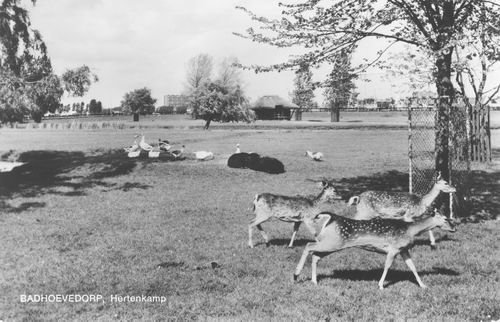 Burgemeester Amersfoordtlaan — Badhoevedorp