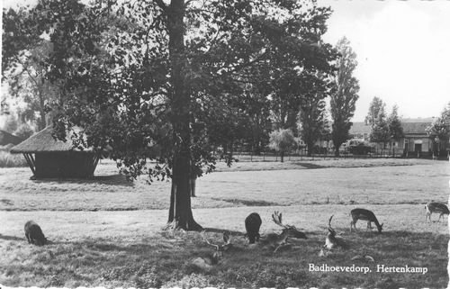 Burgemeester Amersfoordtlaan — Badhoevedorp