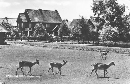 Burgemeester Amersfoordtlaan — Badhoevedorp