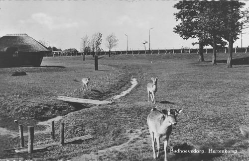 Burgemeester Amersfoordtlaan — Badhoevedorp