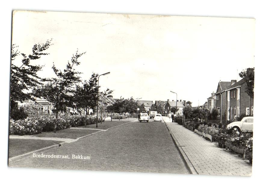 Brederodestraat — Bakkum