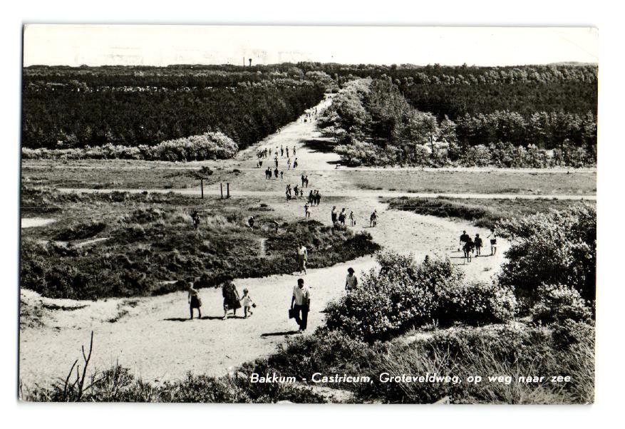 Groteveldweg — Bakkum