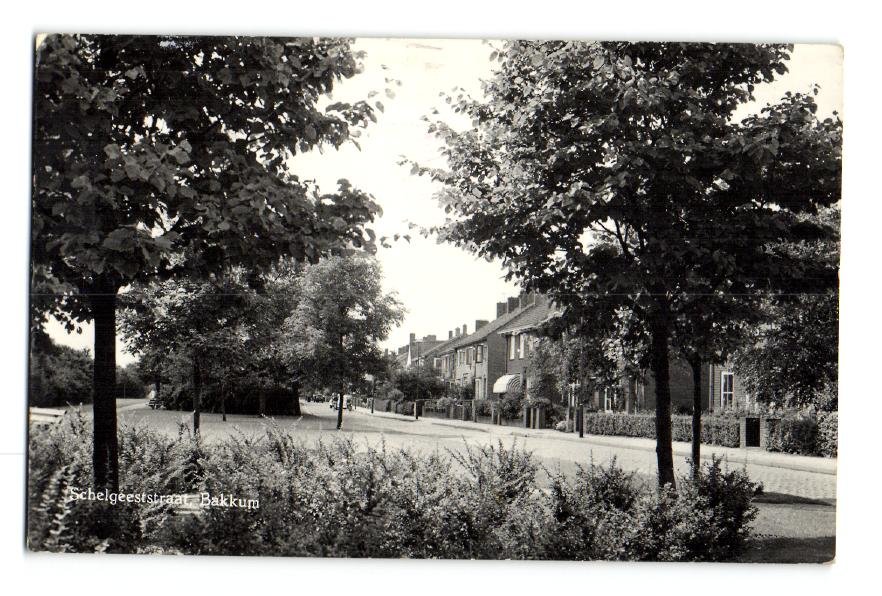 Schelgeeststraat — Bakkum