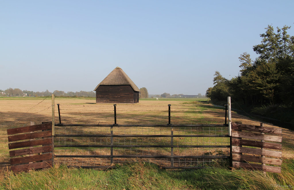 Groene weg — Bergen