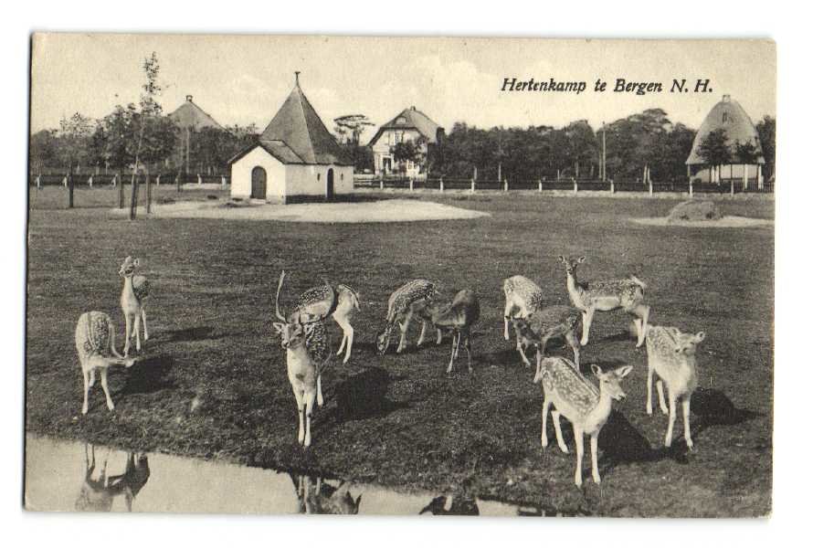 Hertenkamp — Bergen
